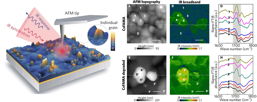 Figure 3. Broadband infrared radiation from Synchrotron focuses on a metal tip that strictly restricts the fields at its apex to further interact with the sample surface in standard AFM mode. (A and E) AFM topographic map (1x1 μm) of suitably pristine CsFAMA perovskites. (B and F) Appropriate infrared broadband images reveal heterogeneity in vibrational activity. (D and H) Nano-FT-IR point spectra from regions designated by numbers in (A), (B), (E) and (F). The characteristic oscillation mode of FA appears only in grains with a weaker broadband IR response. 200 nm scale. Adapted from R. Szostak, J.C. Silva, S.H. Turren-Cruz, M.M. Soares, R.O. Freitas, A. Hagfeldt, H.C.N. Tolentino, A.F. Nogueira, Nanoscale mapping of chemical composition in organic-inorganic hybrid perovskite films, Sci. Adv. 5 (2019) 2–9. doi:10.1126/sciadv.aaw6619
