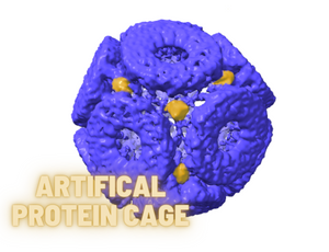 Struktura białkowa może służyć do precyzyjnego rozmieszczenia nanocząsteczek złota