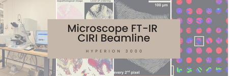 FT-IR microspectroscopy available for the first users