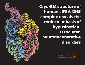 Molekularne szczegóły hypuzynacji eIF5A oraz kliniczne znaczenie mutacji białka DHS