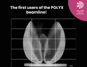 The first users of the POLYX beamline!
