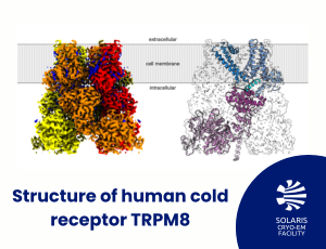 Research on the structure of human cold receptor TRPM8