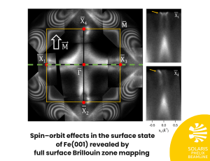 Iron under the ARPES Lens: how spin and magnetism shape the metal’s surface state