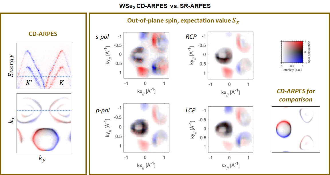 Fig. 1. Comparison of CD and spin texture for WSe2 sample collected at PHELIX beamline for 100 eV of photon energy. 