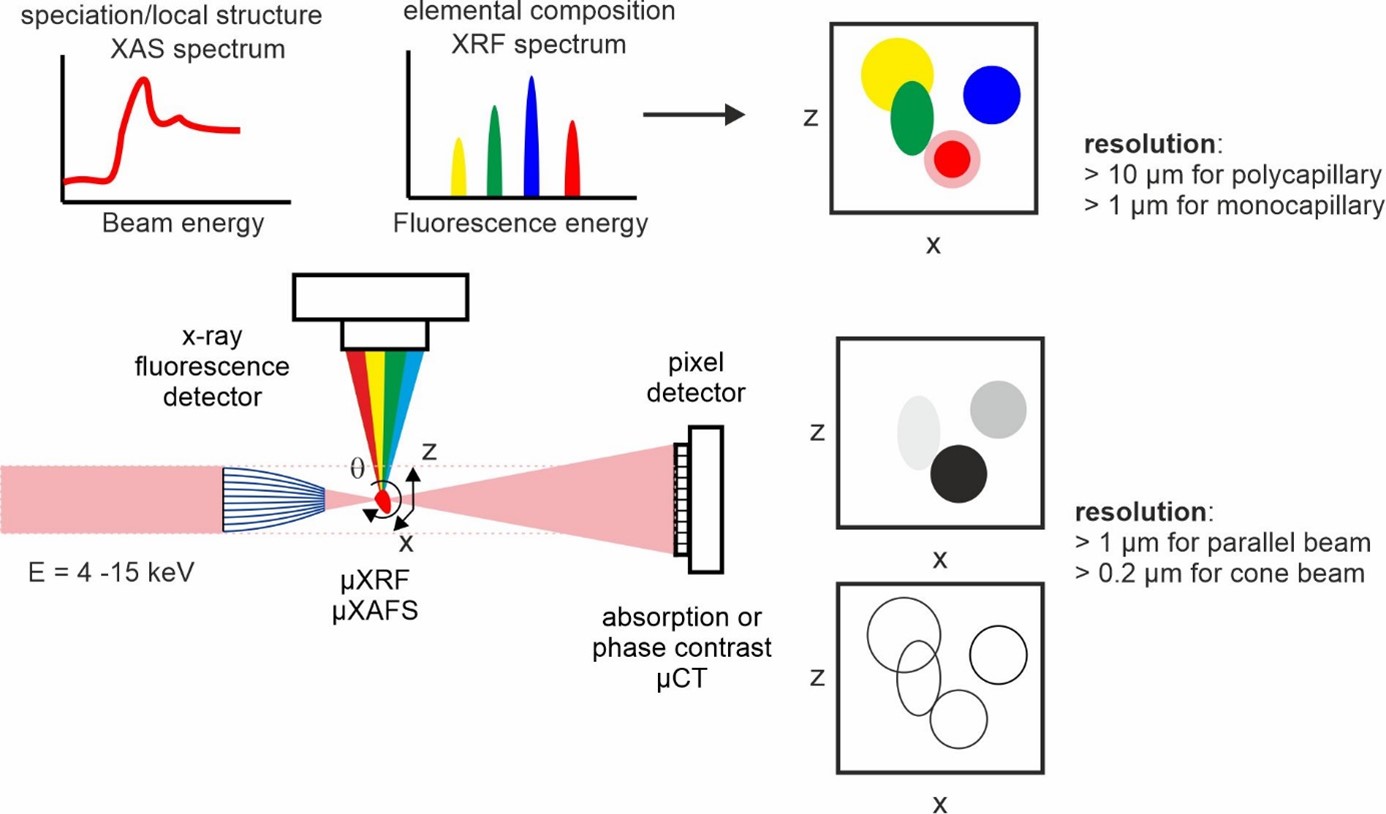 Experimental techniques on Polyx beamline