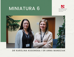 NCN Miniatura 6